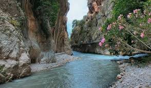 Doğa Tutkunları İçin Yurtiçi Macera Turları: Yaylalar, Dağlar ve Nehirler